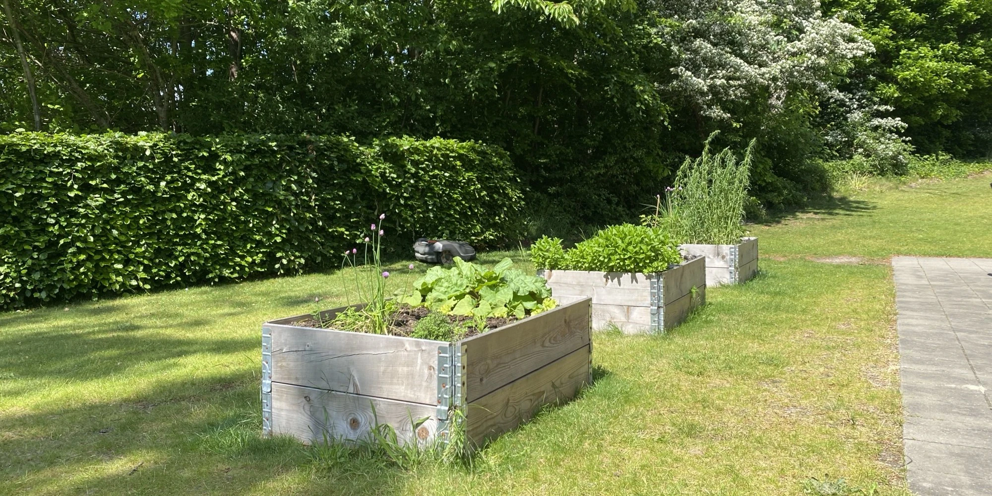 Flotte plantekasser i afdeling 3