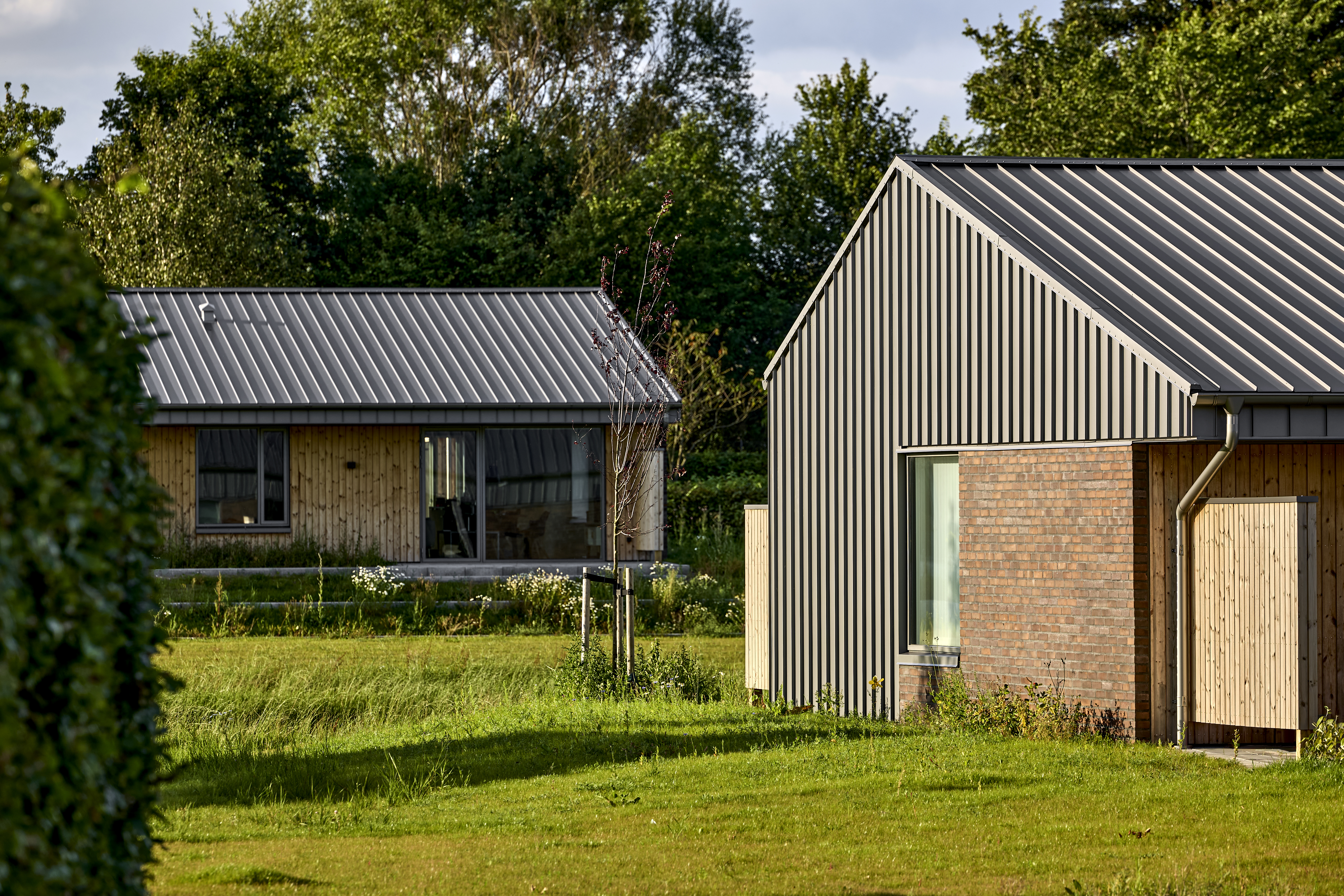 Grønne fællesarealer i afdeling i Grauballe