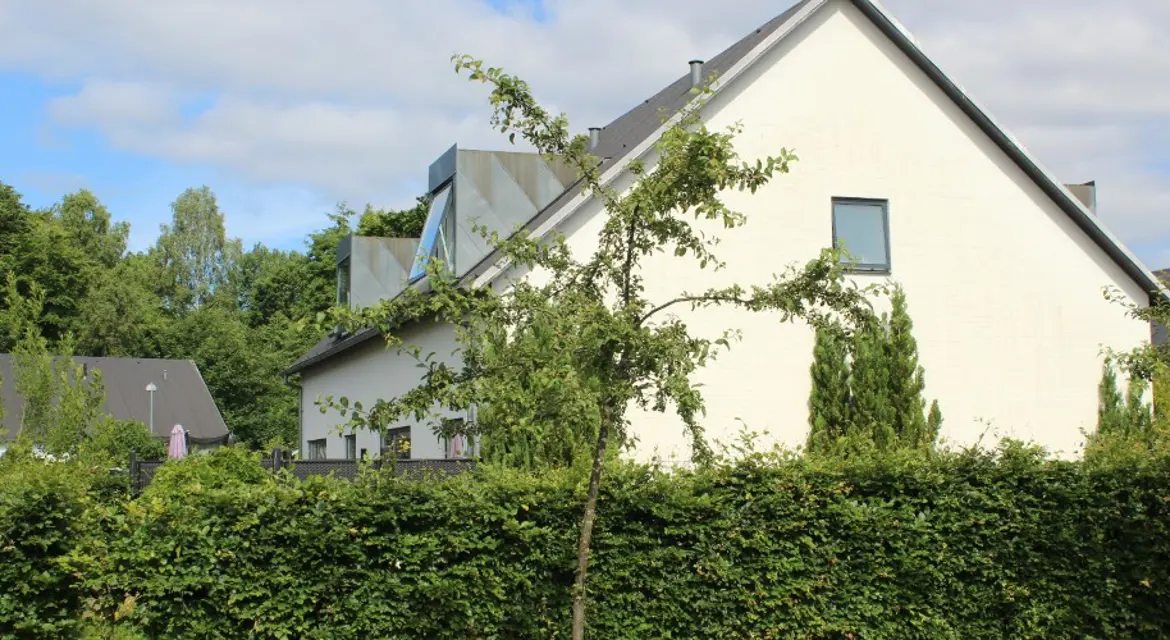 Hvide rækkehuse i Sejs