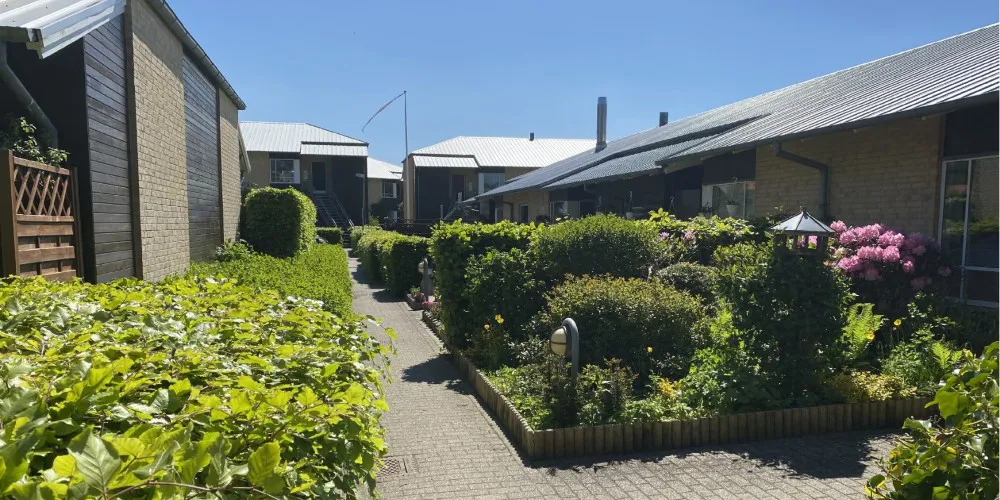 Rækkehuse med grøn beplantning