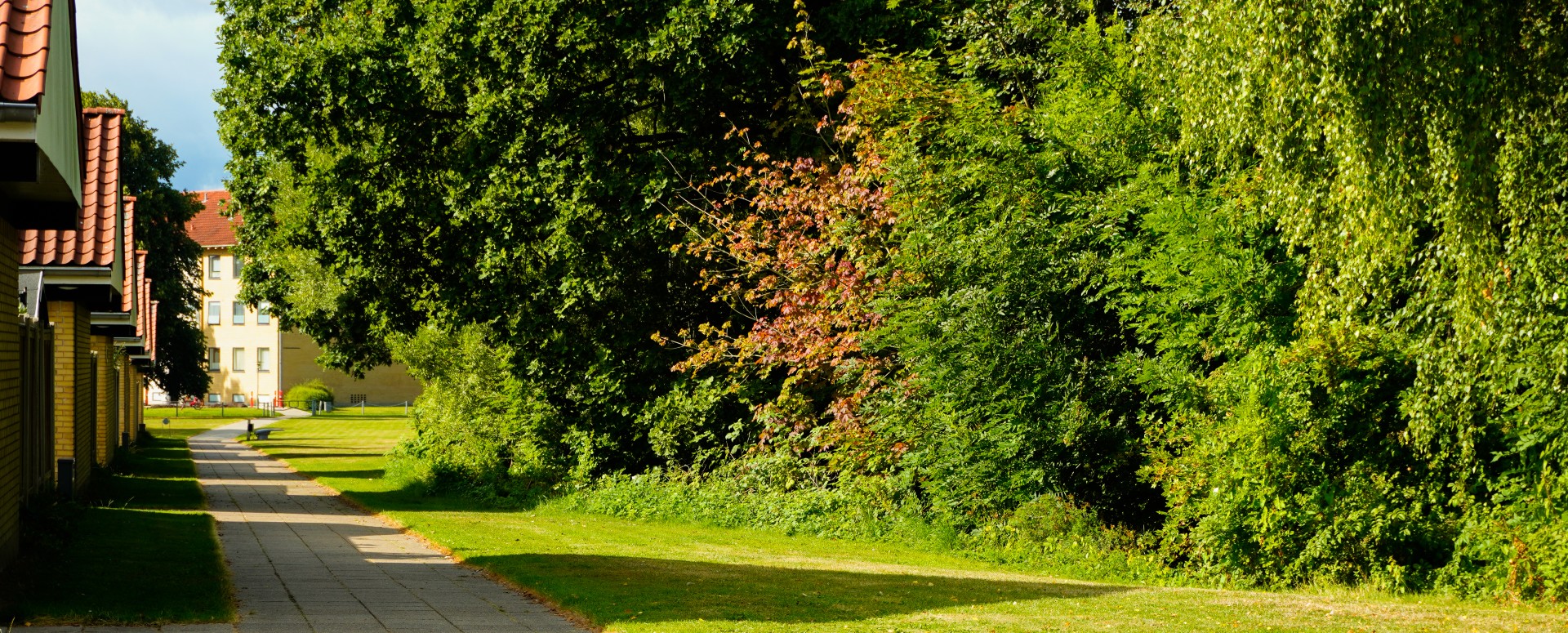 Dsc0452 Large